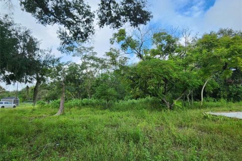 Terrain à vendre à Spring Hill, Floride № 1352544 - photo 6