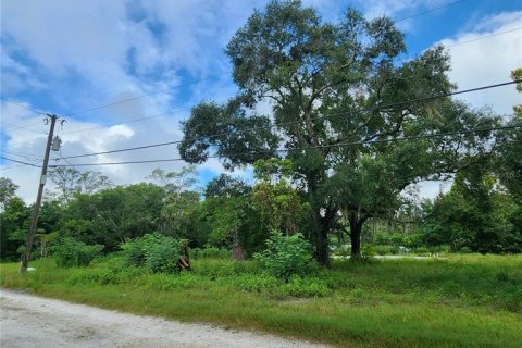 Terreno en venta en Spring Hill, Florida № 1352544 - foto 2