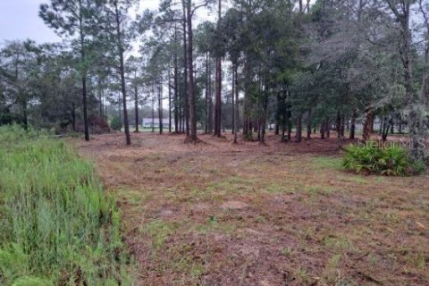 Terrain à vendre à Dunnellon, Floride № 1362100 - photo 3