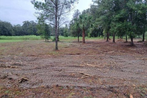 Land in Dunnellon, Florida № 1362100 - photo 2