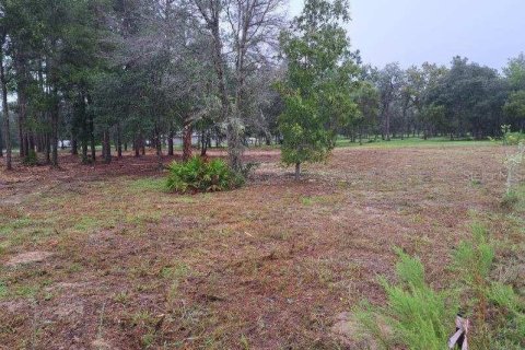 Terreno en venta en Dunnellon, Florida № 1362100 - foto 4