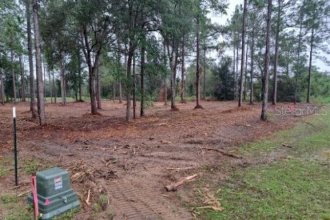 Terreno en venta en Dunnellon, Florida № 1362100 - foto 5