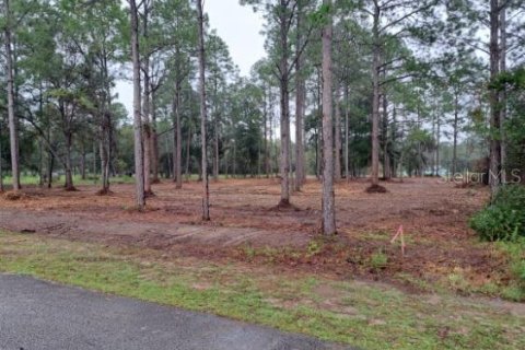 Land in Dunnellon, Florida № 1362100 - photo 1