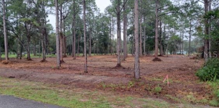 Terrain à Dunnellon, Floride № 1362100