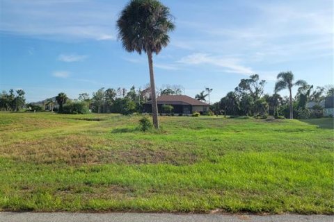 Terreno en venta en Rotonda, Florida № 665089 - foto 3