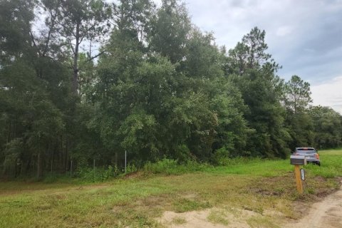 Terreno en venta en Ocala, Florida № 1381318 - foto 2