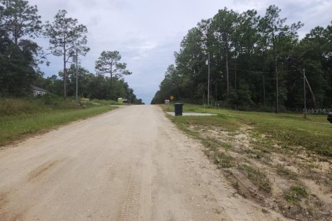 Terrain à vendre à Ocala, Floride № 1381318 - photo 4