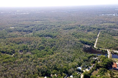 Terreno en venta en Spring Hill, Florida № 1432698 - foto 7