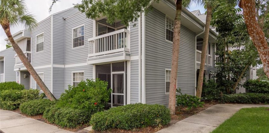 Condo in Saint Petersburg, Florida, 1 bedroom  № 1357463