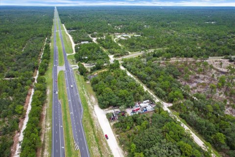 Land in Brooksville, Florida № 1297628 - photo 4