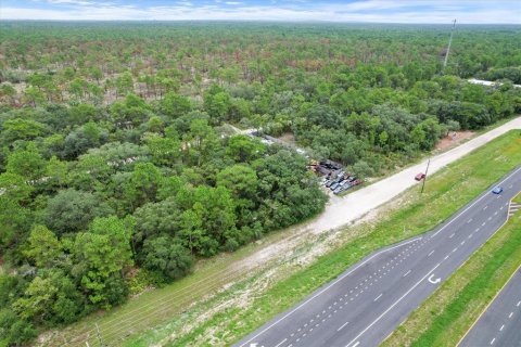 Land in Brooksville, Florida № 1297628 - photo 16