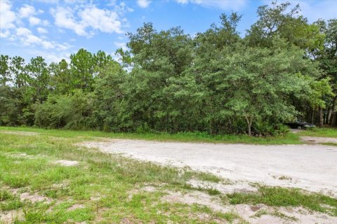 Terreno en venta en Brooksville, Florida № 1297628 - foto 12