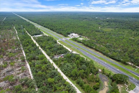 Terreno en venta en Brooksville, Florida № 1297628 - foto 6