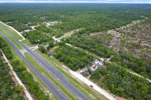 Land in Brooksville, Florida № 1297628 - photo 3