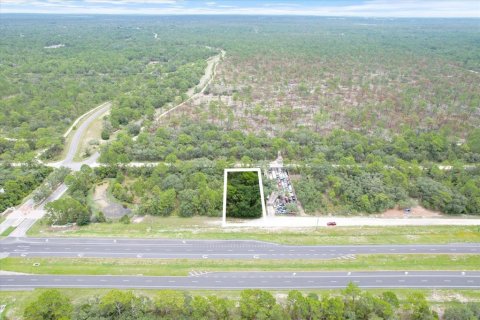 Land in Brooksville, Florida № 1297628 - photo 1