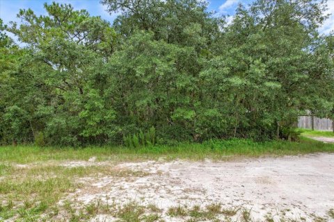 Terreno en venta en Brooksville, Florida № 1297628 - foto 11