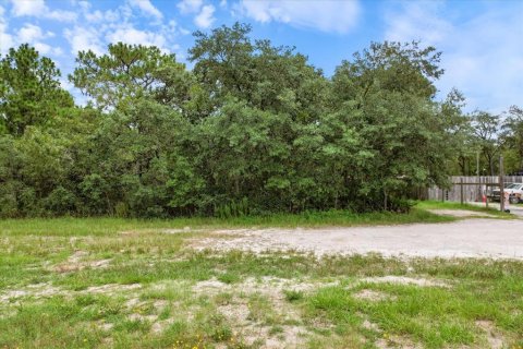 Land in Brooksville, Florida № 1297628 - photo 10