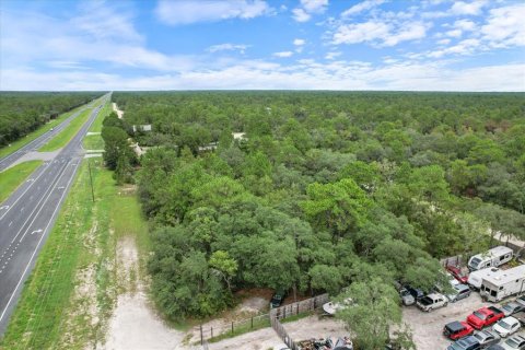 Land in Brooksville, Florida № 1297628 - photo 17