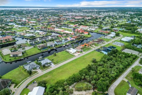 Land in Punta Gorda, Florida № 1336478 - photo 3