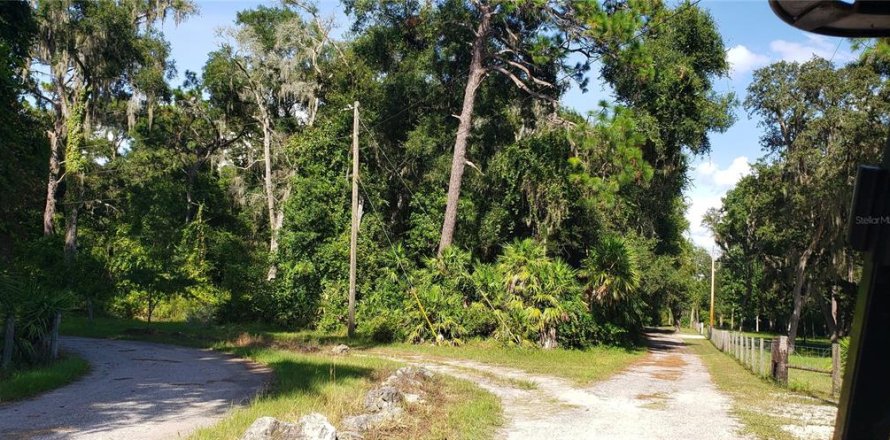 Terreno en Floral City, Florida № 1336329