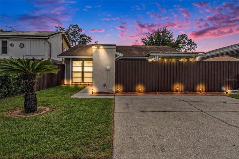 Villa ou maison à vendre à Tampa, Floride: 2 chambres, 82.78 m2 № 1336337 - photo 3