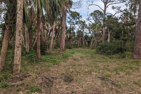 Terrain à vendre à Englewood, Floride № 870261 - photo 3