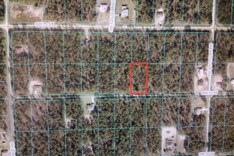 Land in Dunnellon, Florida № 1376287 - photo 2