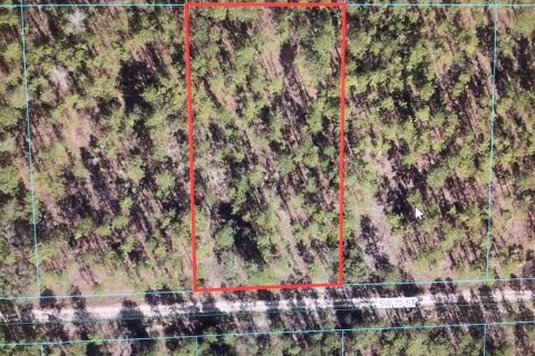 Terreno en venta en Dunnellon, Florida № 1376287 - foto 1