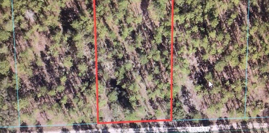 Land in Dunnellon, Florida № 1376287