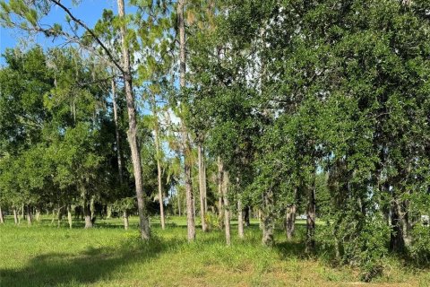 Terreno en venta en Lake Wales, Florida № 1253015 - foto 1