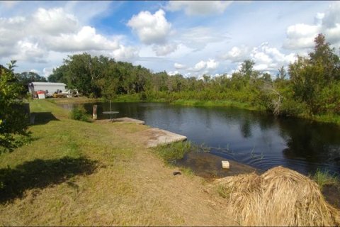 Купить земельный участок в Уимаума, Флорида № 226191 - фото 10