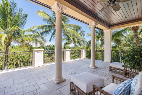 Villa ou maison à vendre à North Palm Beach, Floride: 6 chambres, 862.88 m2 № 110956 - photo 10