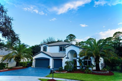 Villa ou maison à vendre à Wellington, Floride: 5 chambres, 292.74 m2 № 874635 - photo 11