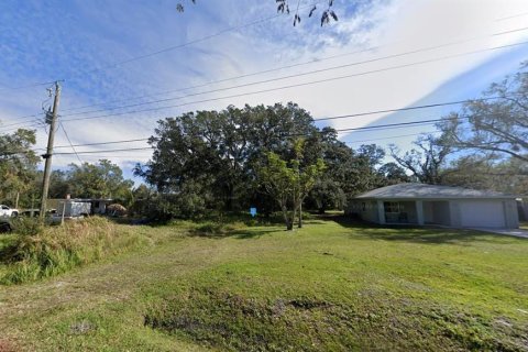 Land in Palmetto, Florida № 1338774 - photo 2