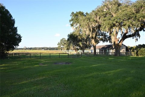 House in Dade City, Florida 3 bedrooms, 214.79 sq.m. № 950909 - photo 30