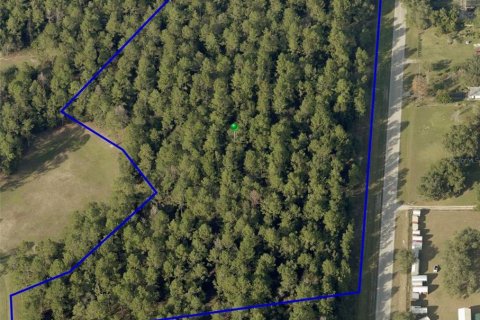 Land in Eustis, Florida № 1314258 - photo 1