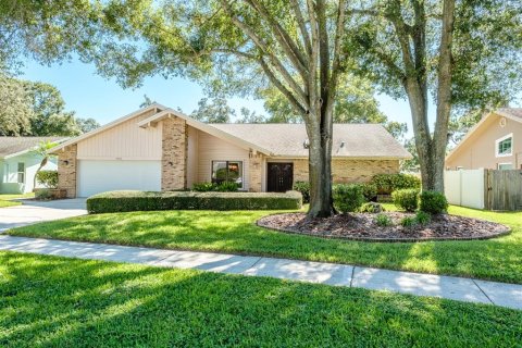 Villa ou maison à vendre à Clearwater, Floride: 4 chambres, 224.45 m2 № 1352828 - photo 2