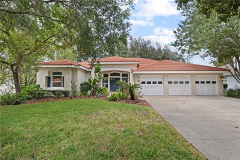 Villa ou maison à vendre à Tampa, Floride: 4 chambres, 248.42 m2 № 1362095 - photo 1