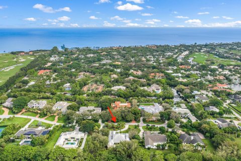 Villa ou maison à vendre à North Palm Beach, Floride: 4 chambres, 361.58 m2 № 919894 - photo 4