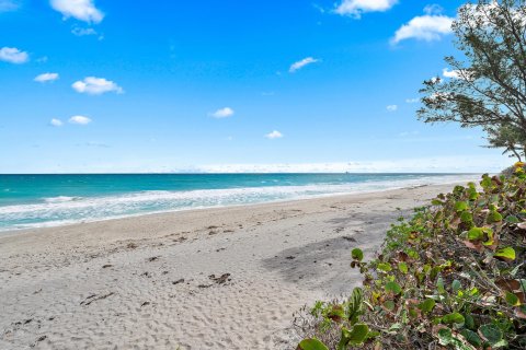 Villa ou maison à vendre à North Palm Beach, Floride: 4 chambres, 361.58 m2 № 919894 - photo 1