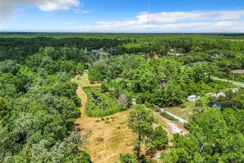 Terreno en venta en Eustis, Florida № 1319549 - foto 11