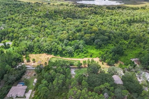 Terreno en venta en Eustis, Florida № 1319549 - foto 5