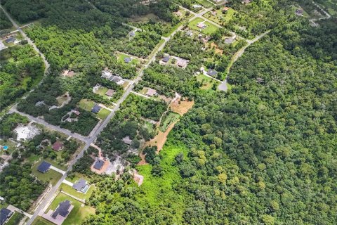 Terreno en venta en Eustis, Florida № 1319549 - foto 19