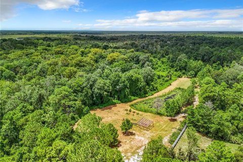 Terreno en venta en Eustis, Florida № 1319549 - foto 12