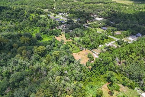 Land in Eustis, Florida № 1319549 - photo 14