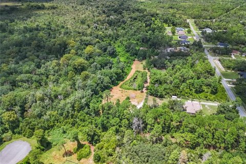 Terreno en venta en Eustis, Florida № 1319549 - foto 13