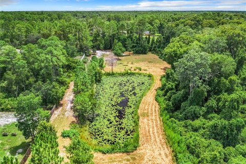 Terreno en venta en Eustis, Florida № 1319549 - foto 7