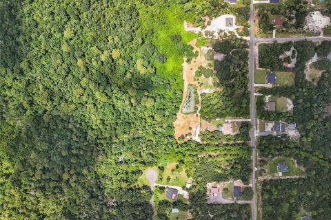 Terreno en venta en Eustis, Florida № 1319549 - foto 18