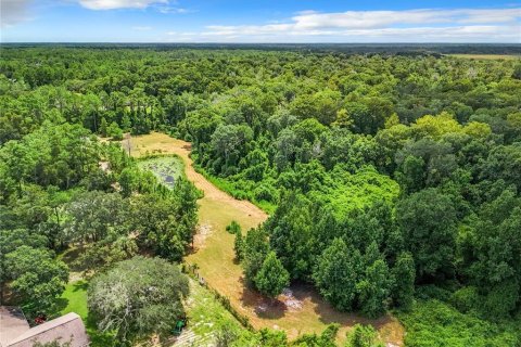 Terreno en venta en Eustis, Florida № 1319549 - foto 8