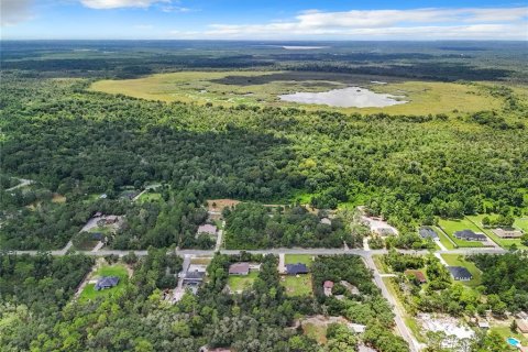 Land in Eustis, Florida № 1319549 - photo 6